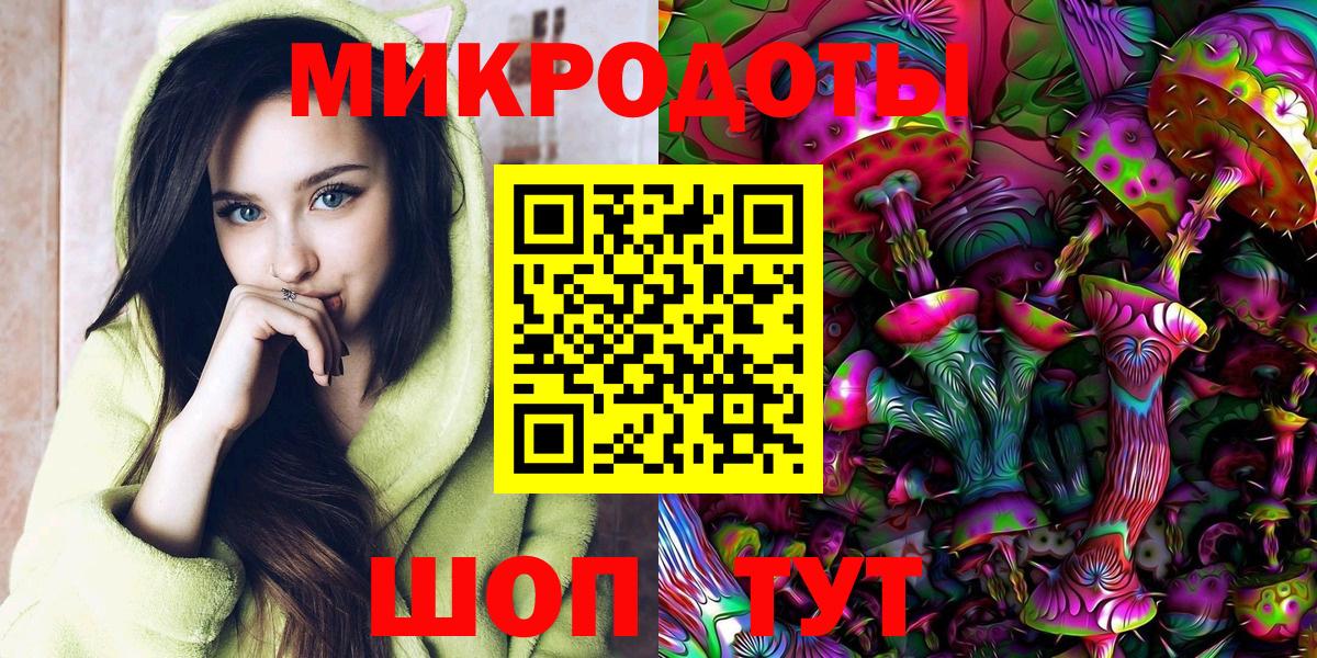 Галлюциногенные грибы Cubensis Качканар