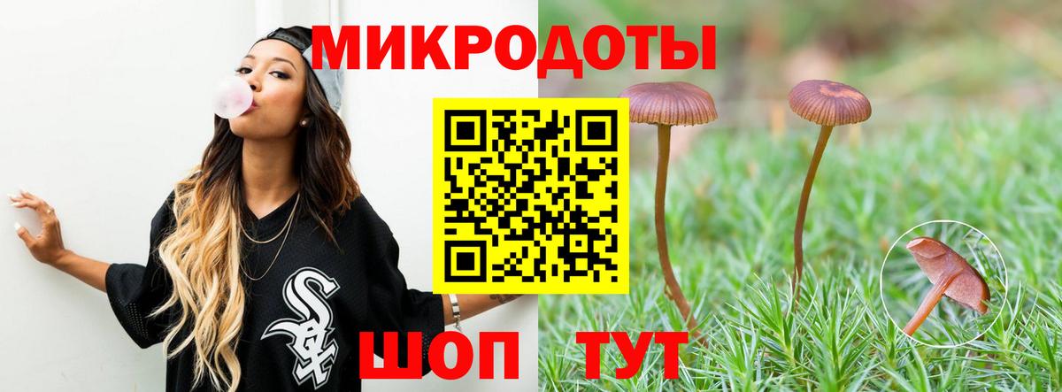 Галлюциногенные грибы Psilocybine cubensis  Вход с VPN  Качканар 